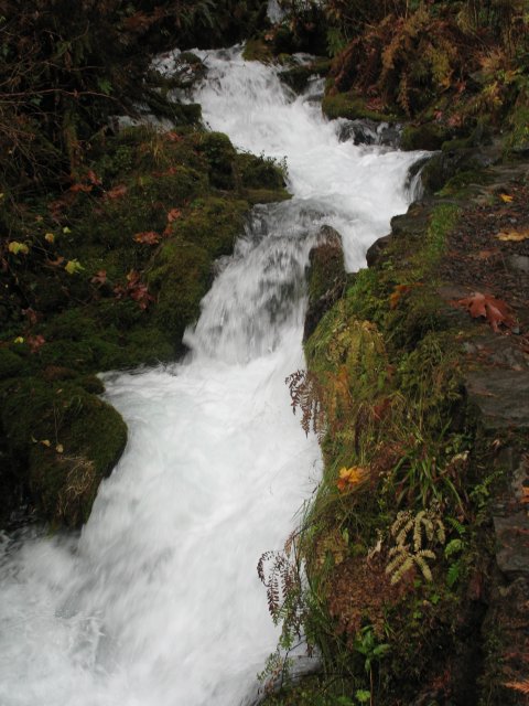 11.11.06 Waukeena Multnomah Falls 026 